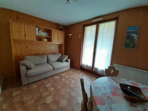 Studio cabine 4 pers exposé Est, animaux acceptés, près des pistes! - FR-1-263-66